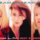 The Secret Barrister’s legal analysis of Bananarama hit is a thing of beauty