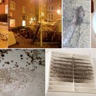 Crowdfunding success: LSE students awarded compensation over mouldy halls of residence