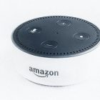 ‘Alexa, who dunnit?’ Amazon Echo could be pivotal evidence in double murder trial in the US