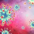 Kent University launches coronavirus LLM