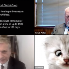 Zoom blunder turns lawyer into cat