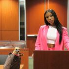 Law student’s Legally Blonde photoshoot gets Elle Woods seal of approval