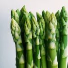 Asparagus recipe accidentally included in Belgian law database