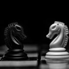 Why litigation is a game of chess